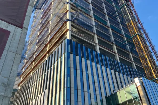 Image_2025-07-31_172914_4631